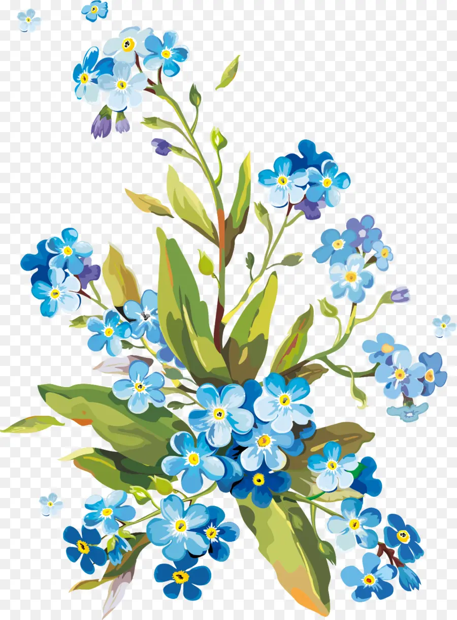 çiçek，Guaj Boya PNG