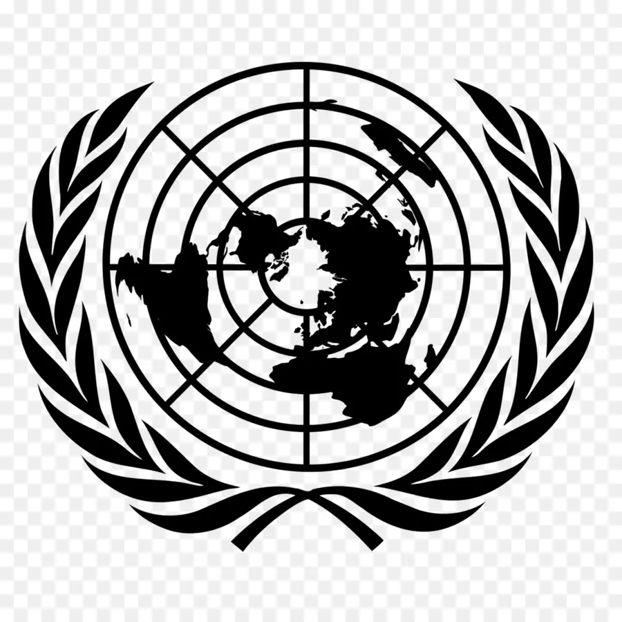 Model Birleşmiş Milletler，Birleşmiş Milletler PNG