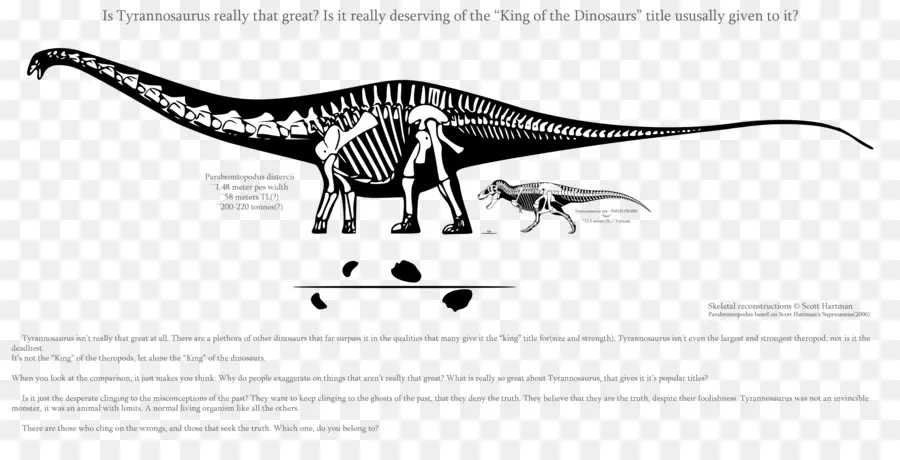 Dinozor Iskeleti，Tyrannosaurus PNG