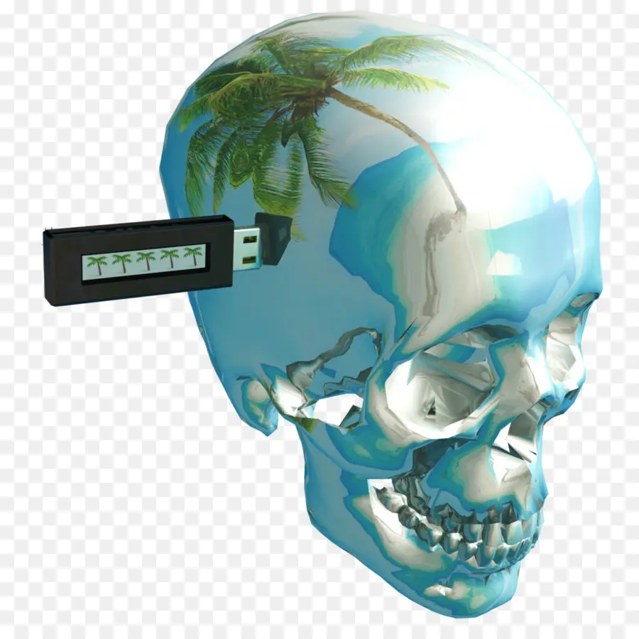 Usb'li Kafatası，Usb çubuğu PNG