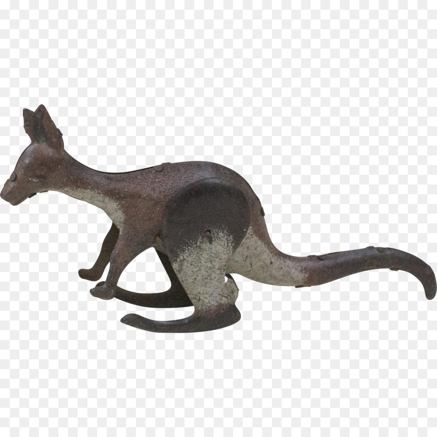 Macropodidae，Kedi PNG