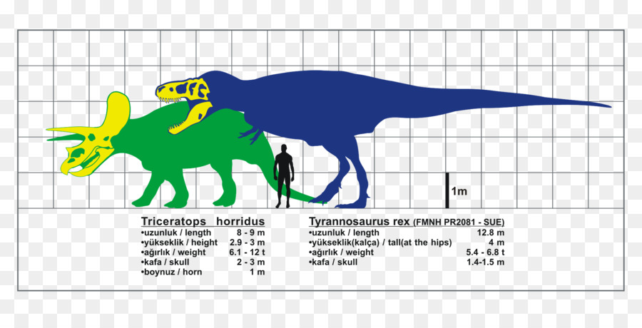 Tyrannosaurus，Triceratops PNG