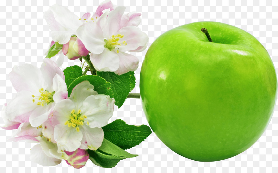 Elma，çiçek PNG