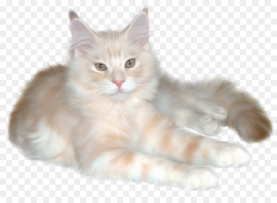 Kabarık Kedi，Evcil Hayvan PNG