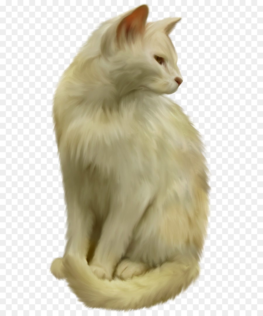 Beyaz Kedi，Kedi PNG