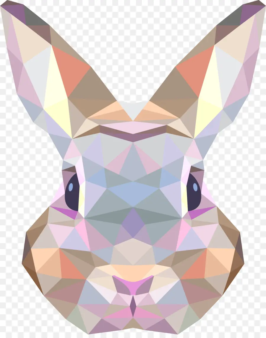 Tavşan，Geometri PNG