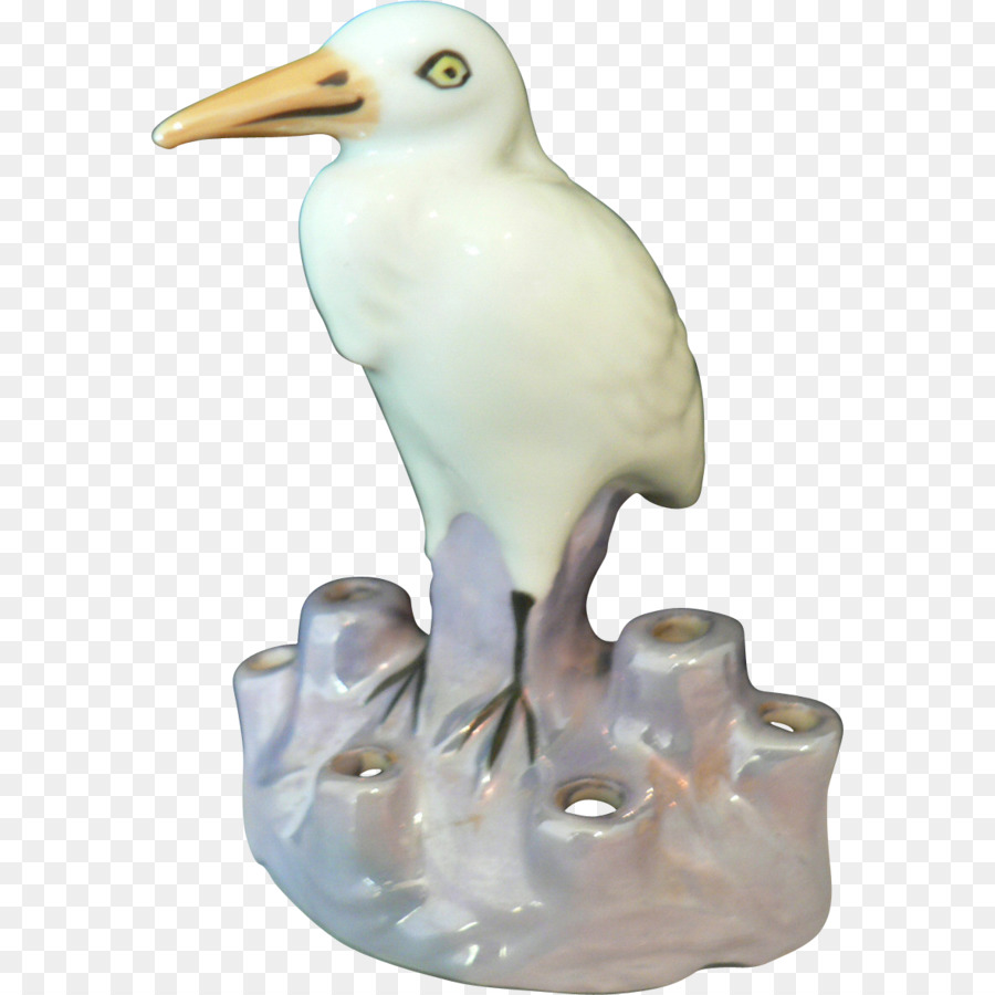 Kuş，Seabird PNG