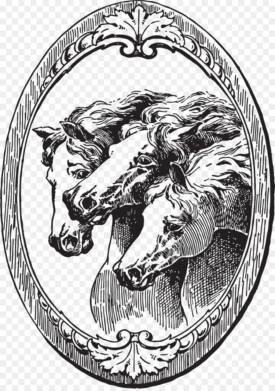 Mustang，Midilli PNG