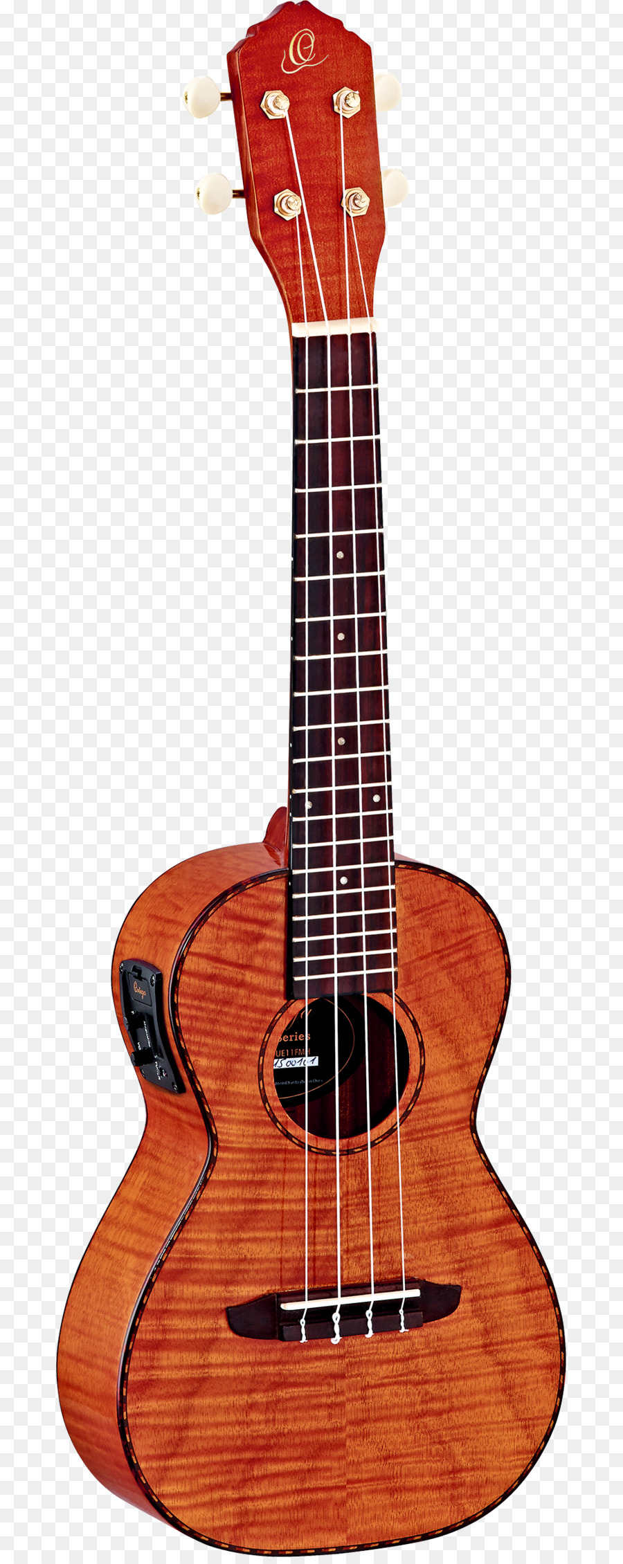 Ukulele，Müzik PNG