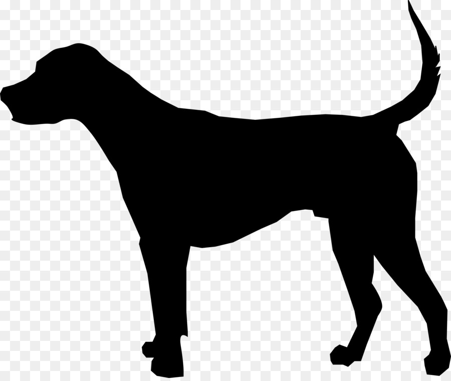 İngilizce Foxhound，Köpek Sandık PNG