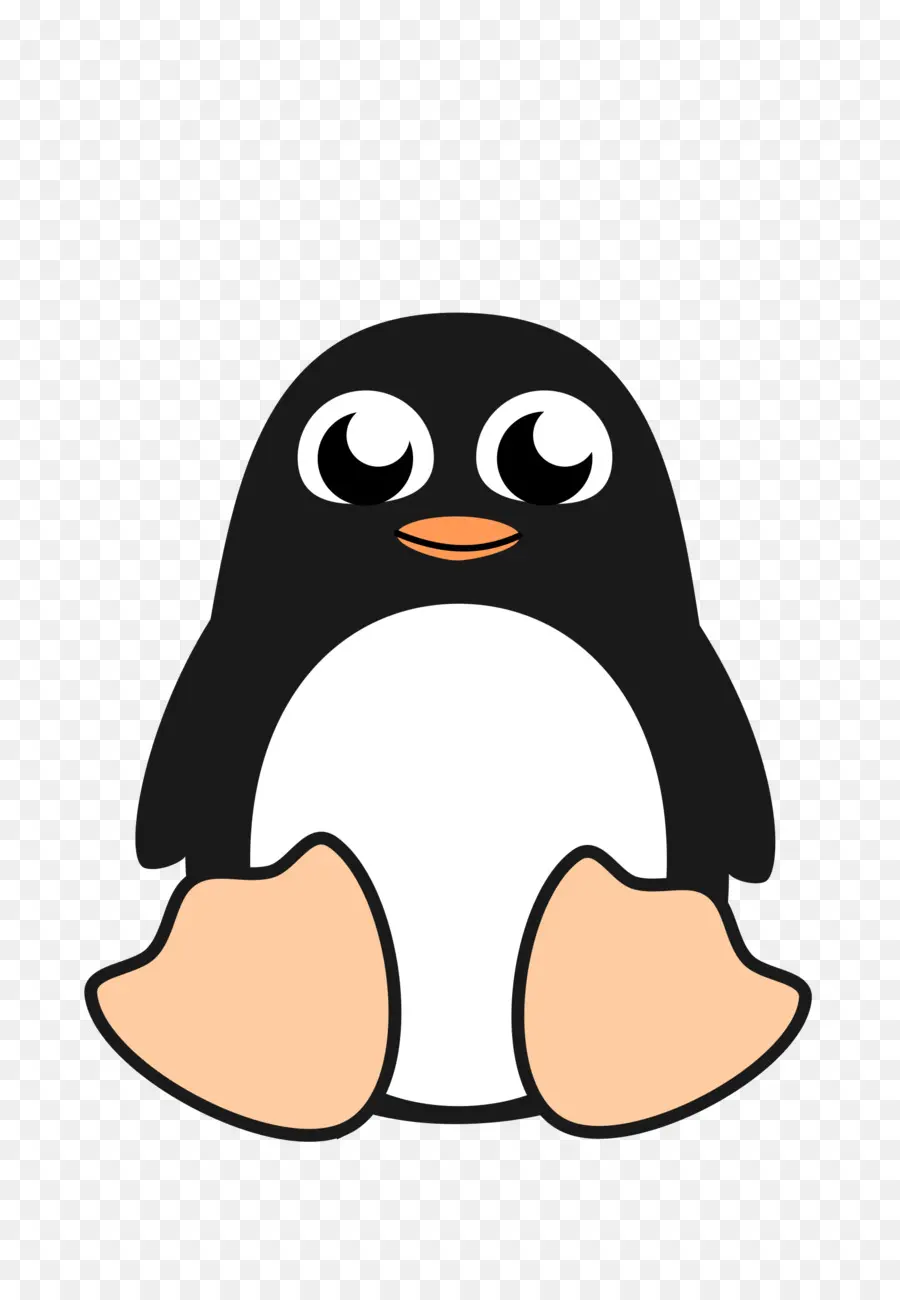 Penguen，Siyah Ve Beyaz PNG