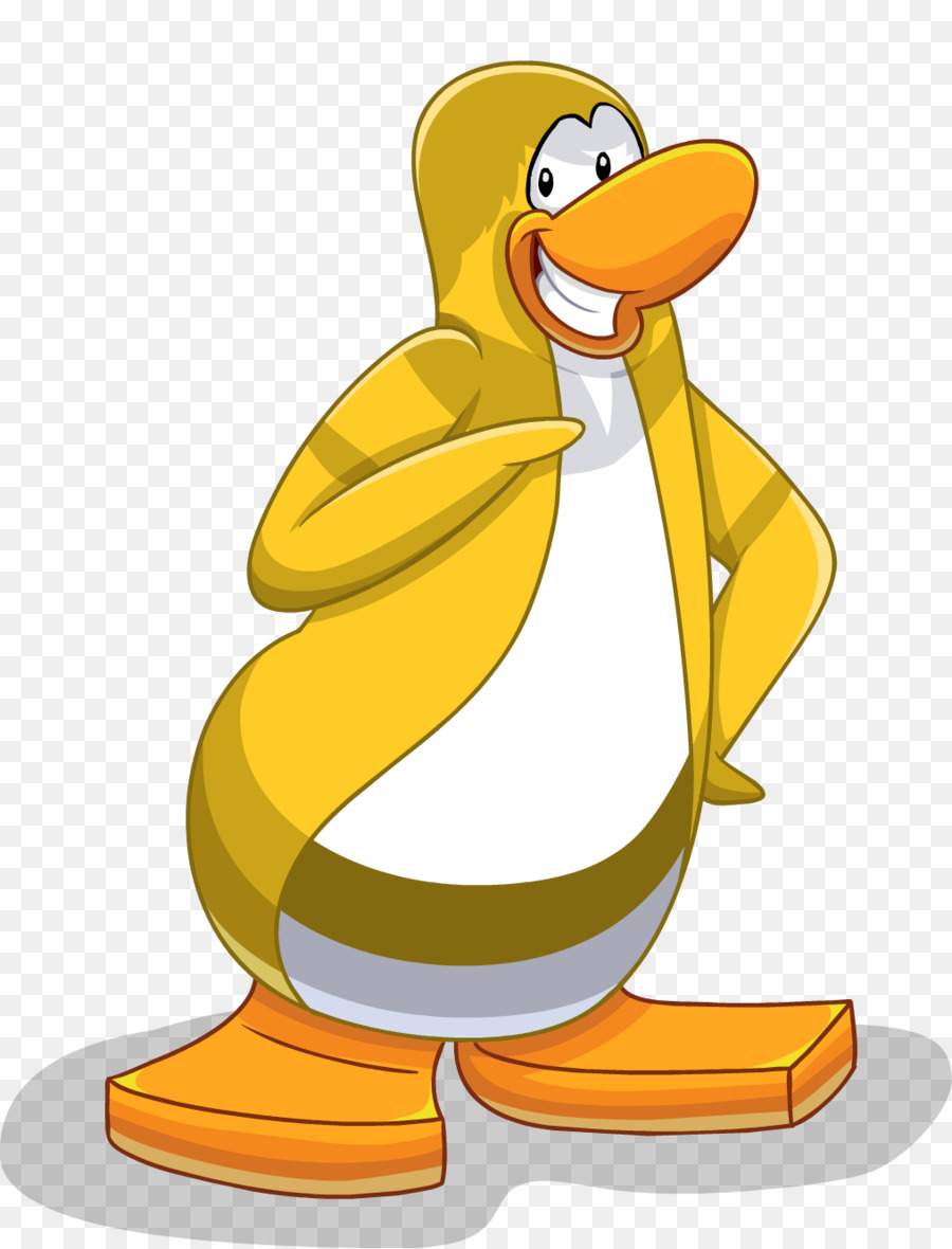 Penguen，Kuş PNG