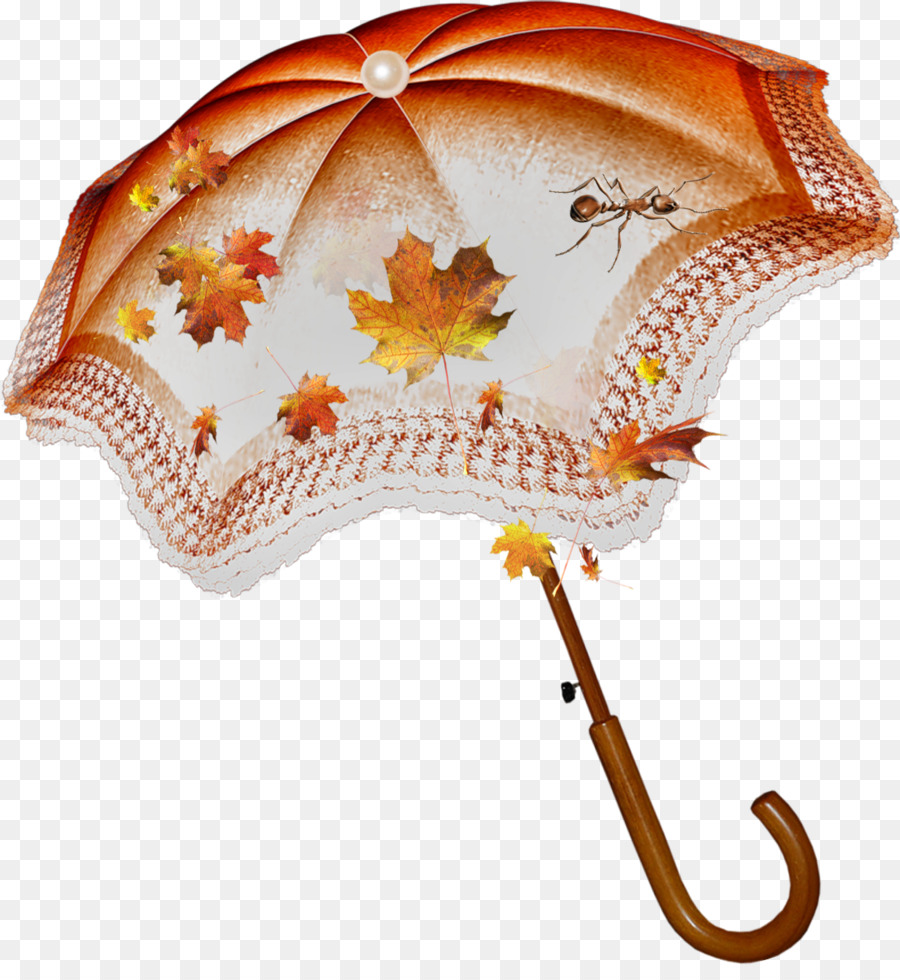 şemsiye，Blog PNG