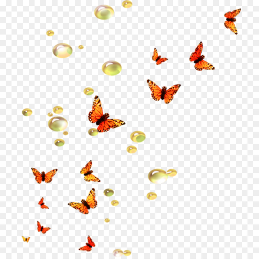 Kelebek，Masaüstü Duvar Kağıdı PNG