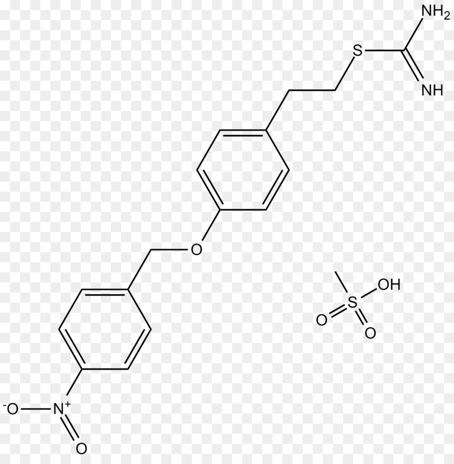 Sodyumcalcium Eşanjörü，Nakatpase PNG