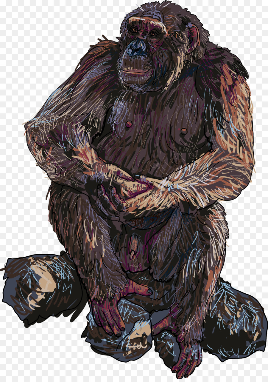 Orangutan，Goril PNG