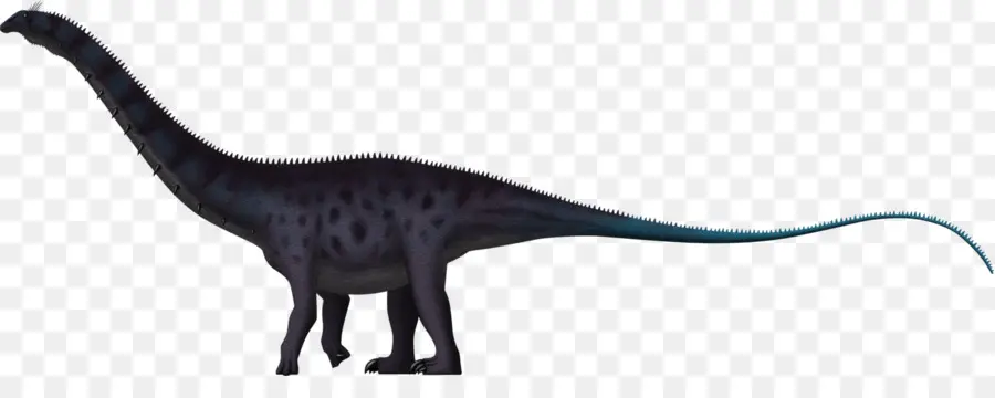 Apatosaurus，Brachiosaurus PNG
