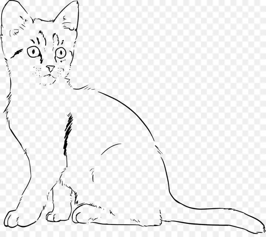 Kedi，Hat Sanatı PNG