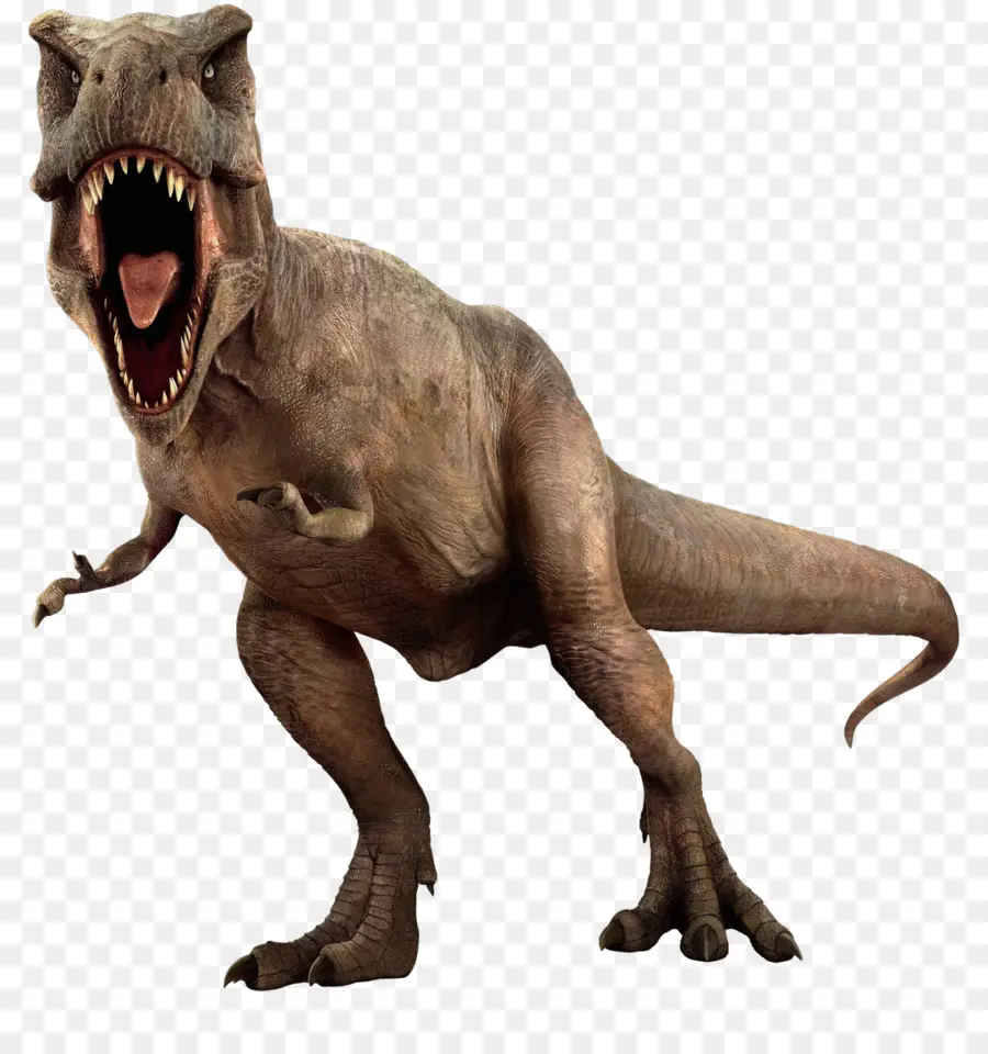 T Rex，Dişler PNG