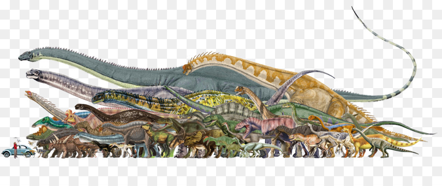 Tyrannosaurus，Sürüngen PNG