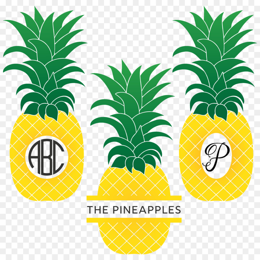 Ananas，Bromeliads PNG