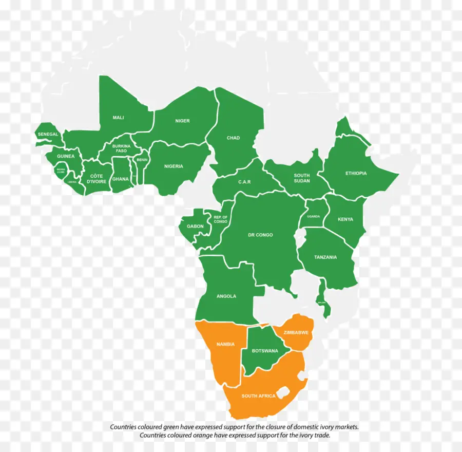 Subsaharan Afrika，Fildişi Ticareti PNG