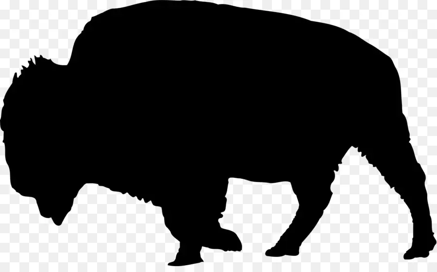 Amerikan Bison，Siluet PNG