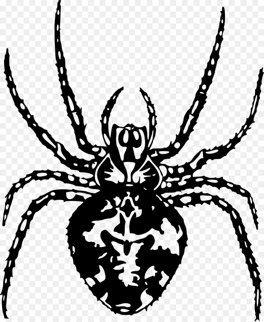 örümcek，Eklem Bacaklılar PNG
