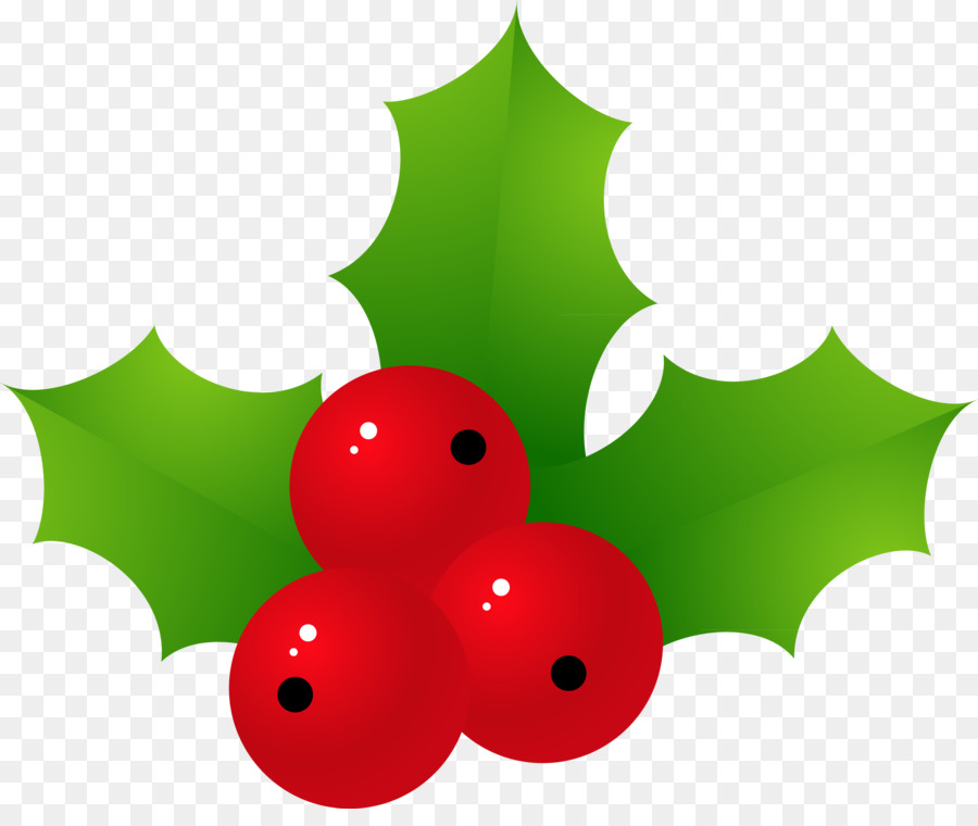 Çobanpüskülü，Noel PNG