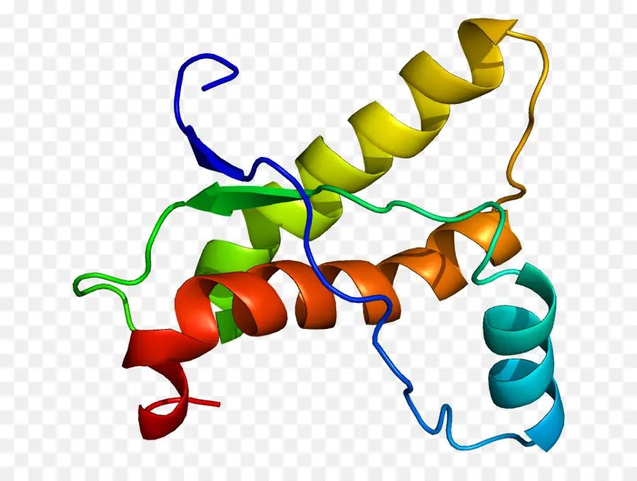 Prion，Protein PNG