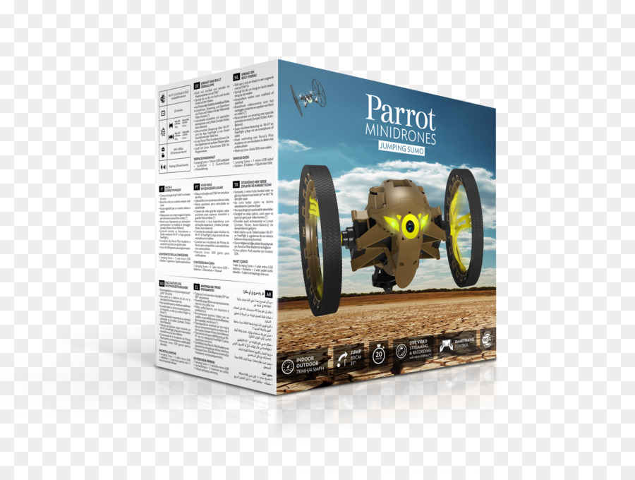 Aydın，Parrot Rolling örümcek PNG