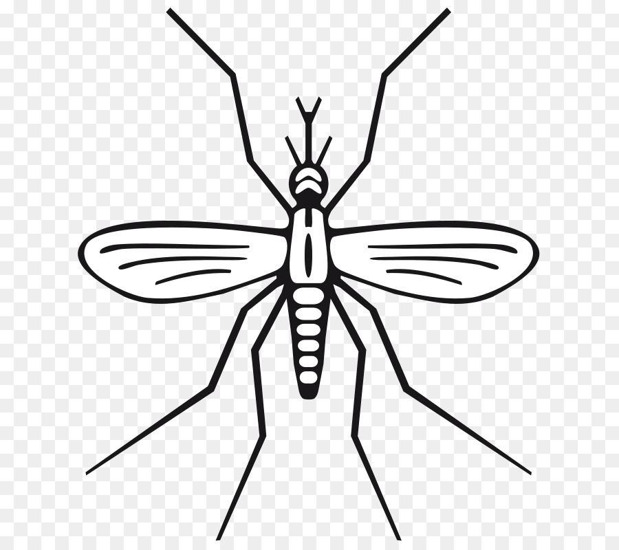 Sivrisinek，Böcek Zapper PNG
