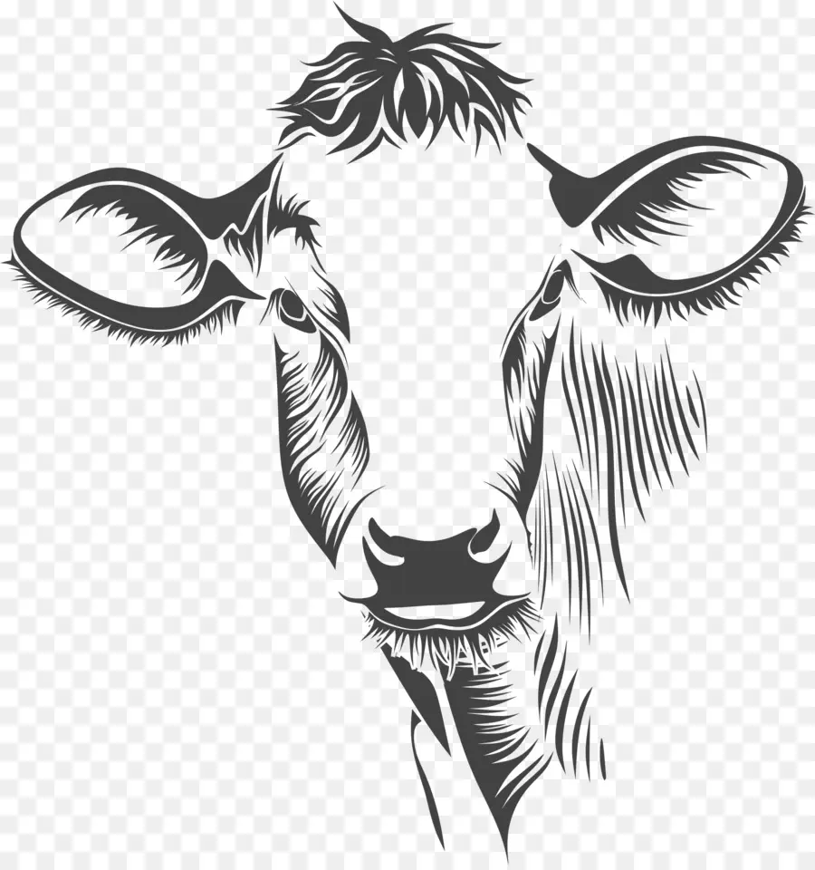 Holstein Friesian Sığır，Charolais Sığır PNG
