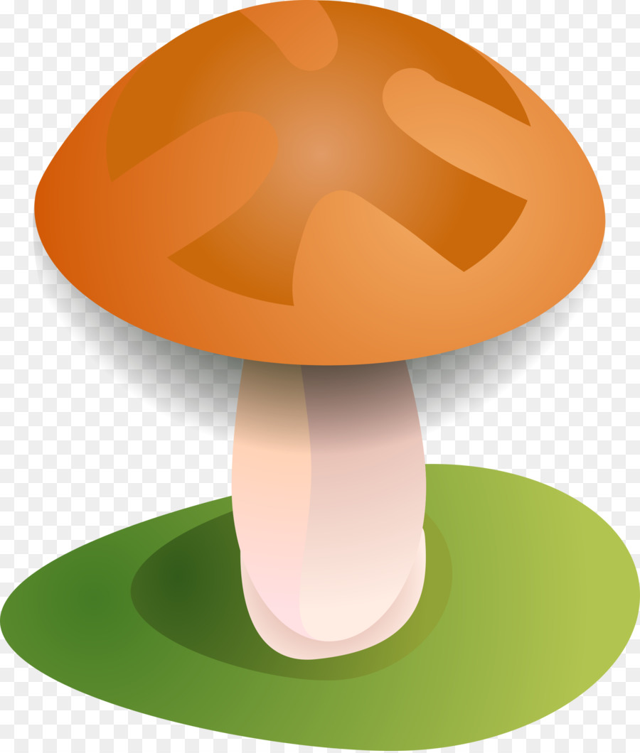 Amanita Muscaria，Mantar PNG