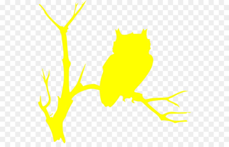 Baykuş，Sarı PNG