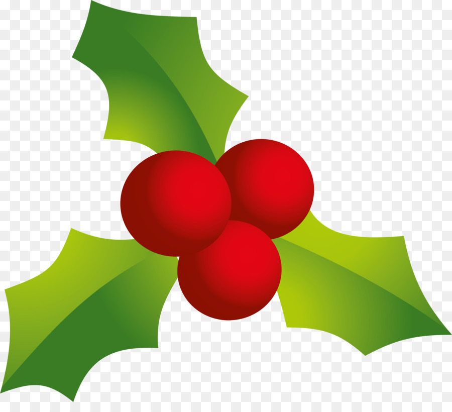 Çobanpüskülü，Noel PNG