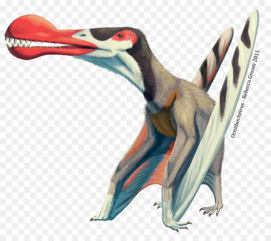 Ornithocheirüs，Pterosaurs PNG