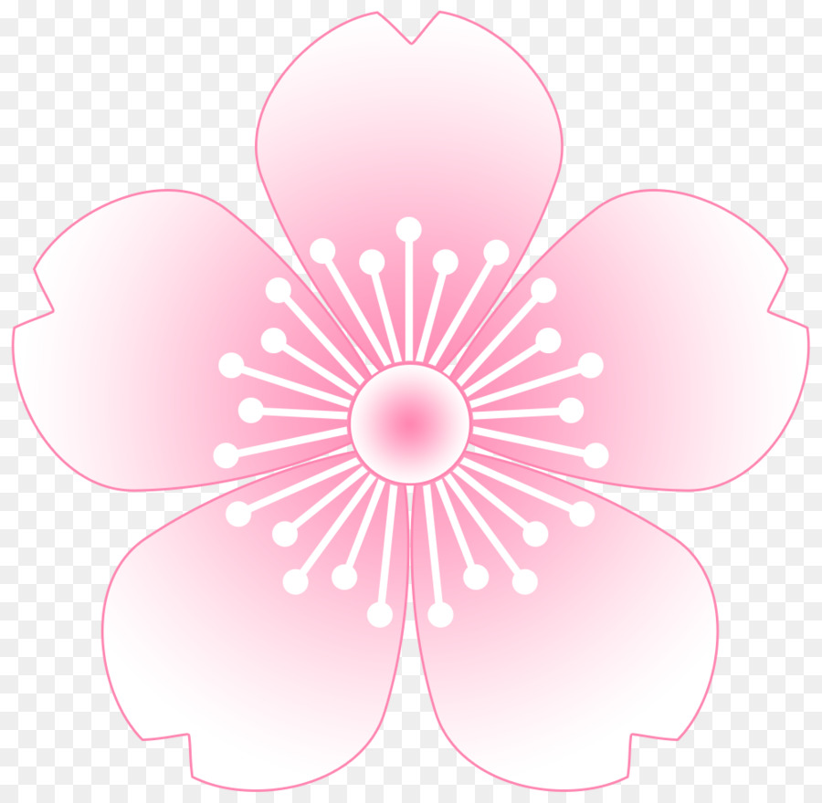 Kiraz çiçeği，çiçek PNG