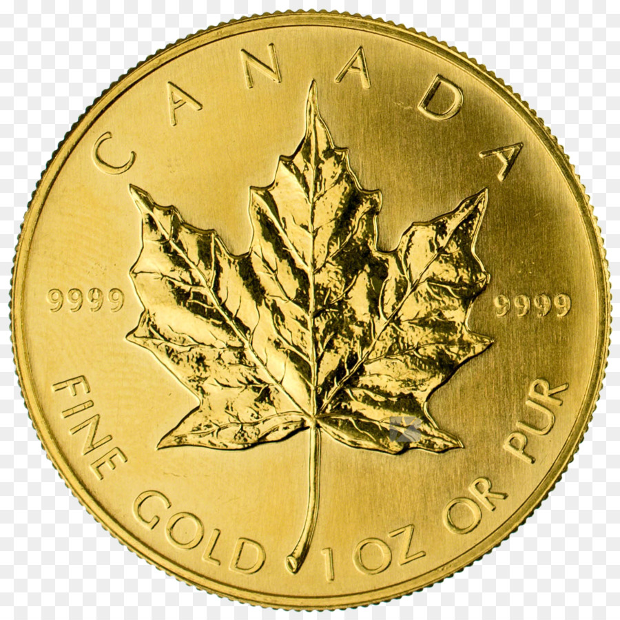 Kanada Altın Maple Leaf，Akçaağaç Yaprağı PNG