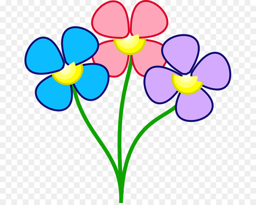 çiçek，Renk PNG