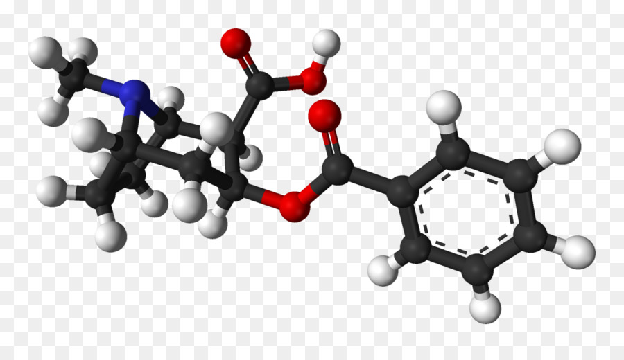 Benzoilekgonin，Ekgonin PNG