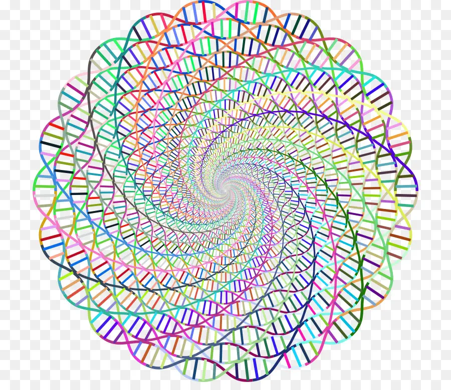 Spirograf，Model PNG