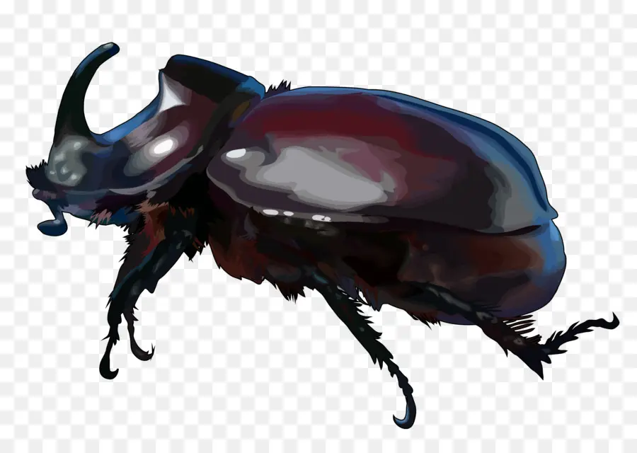 Böcek，Bokböceği PNG