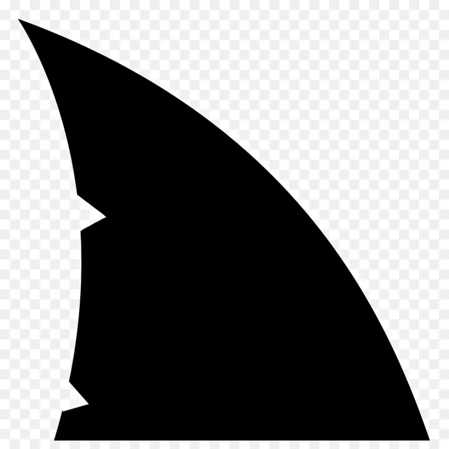Köpekbalığı，Köpekbalığı Yüzgeci çorbası PNG