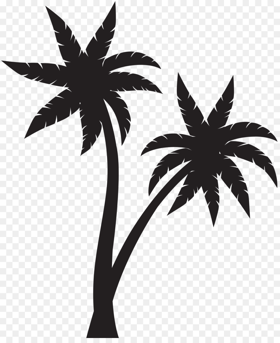 Siluet，Arecaceae PNG