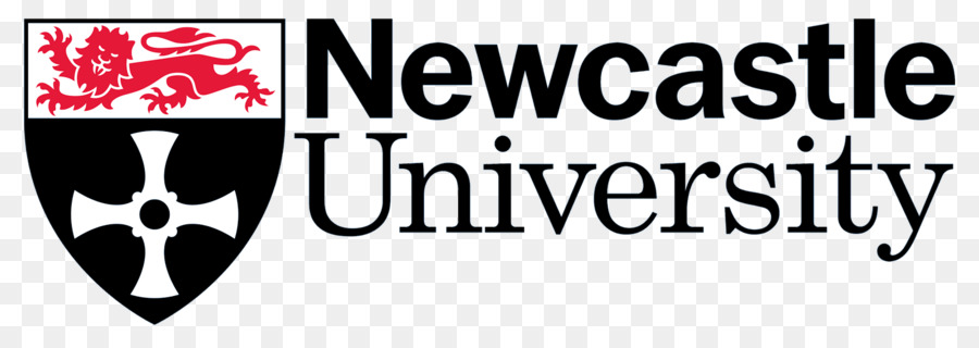 Newcastle Üniversitesi，Northumbria Üniversitesi PNG