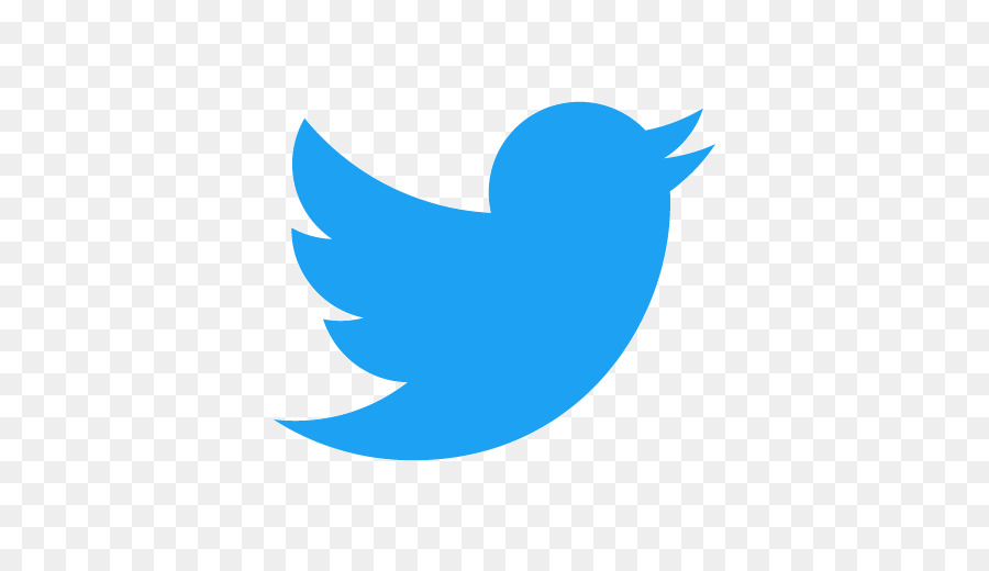 Twitter Logosu，Kuş PNG