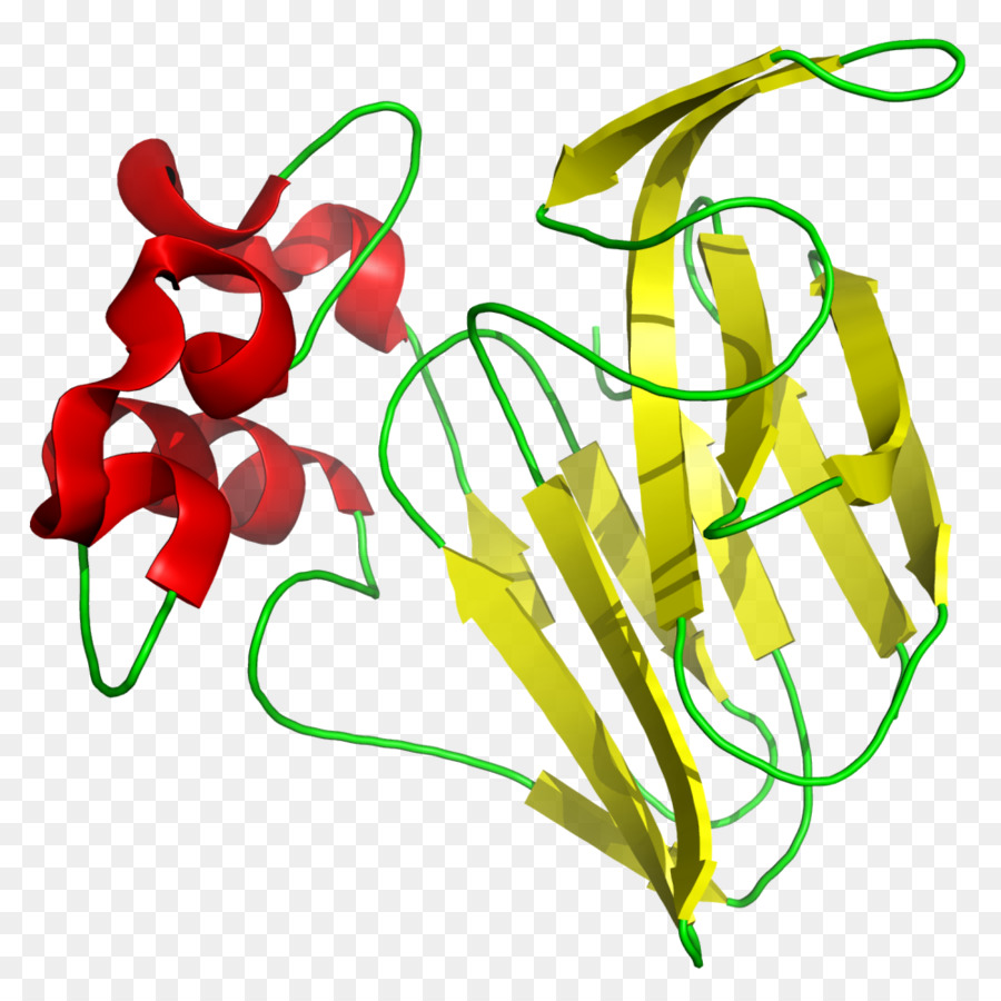 Thaumatin，Protein PNG
