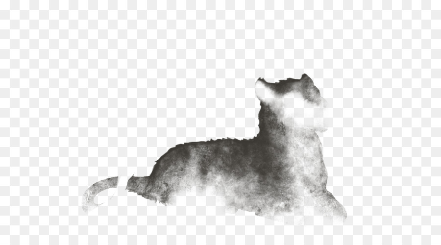 Minyatür Schnauzer，Kedi PNG