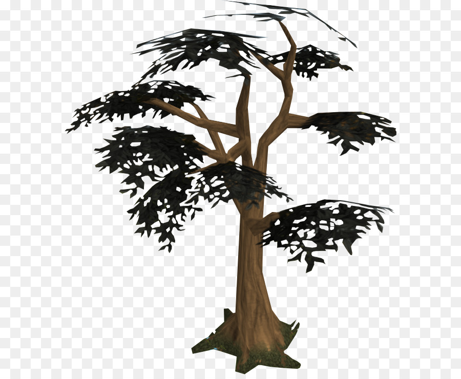 Ağaç，Odunsu Bitki PNG